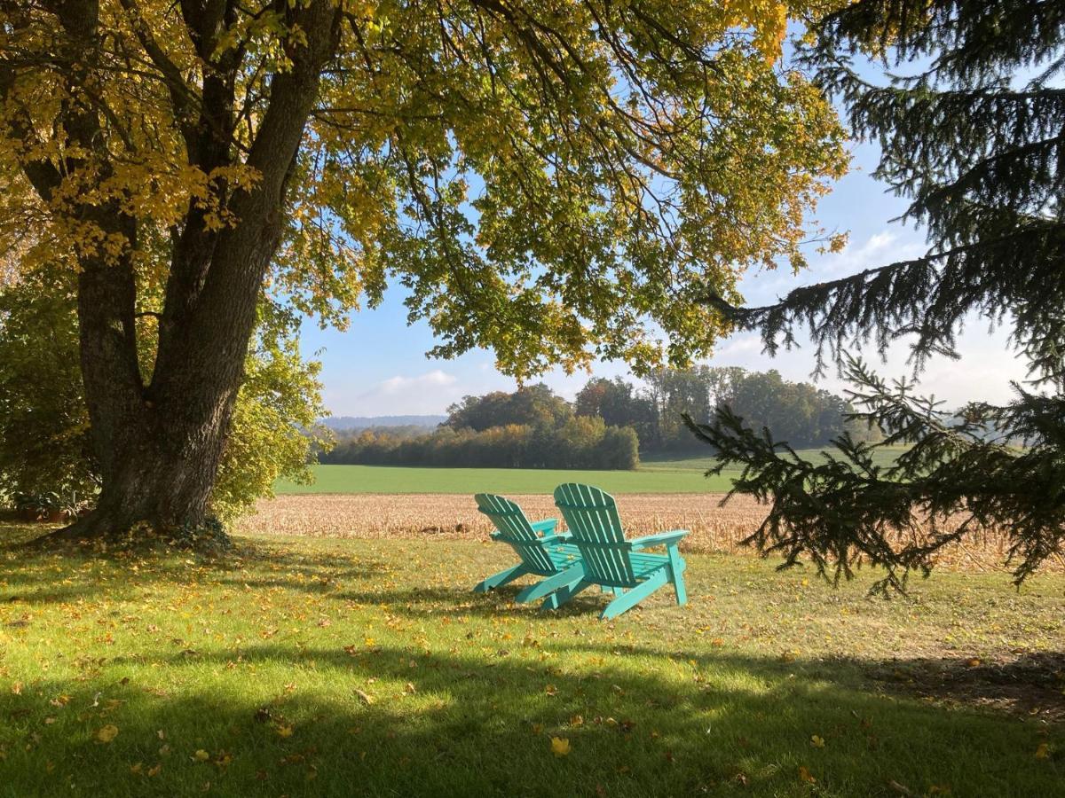 Buesingen Am Hochrhein Radfahren, Wandern, Natur Geniessen Busingen am Hochrhein Exterior foto